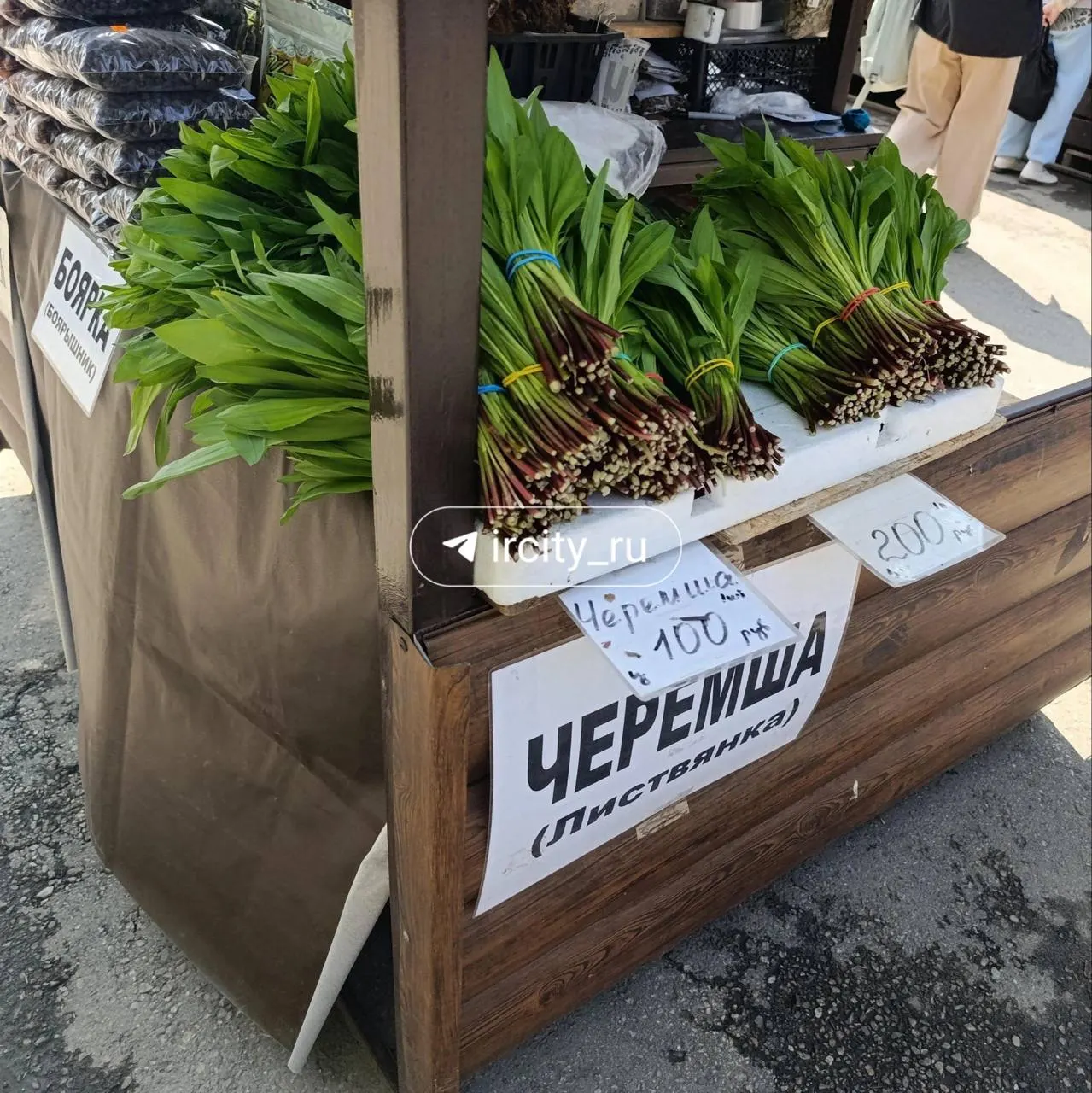 Дикий чеснок уже продают на Центральном рынке Иркутска — привозят из Листвянки и окрестностей, цены варьируются от 100 до 200 рублей за пучок.