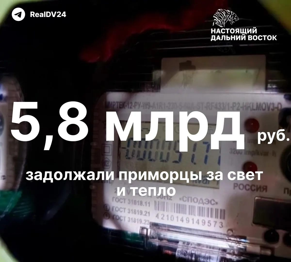 В Приморском крае из‑за накопившихся задолженностей энергоснабжающие организации начали массовые отключения: суммарный долг превысил 5,8 млрд рублей, должникам раздали тысячи уведомлений с требованием оплатить счета и пени.