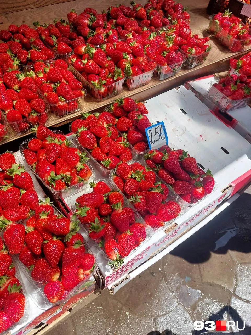 На Сенном рынке цены на клубнику упали до 250–460 ₽ за килограмм; в начале мая средняя цена была 650–700 ₽. Черешня — 1000–1500 ₽/кг, малина — около 3000 ₽.