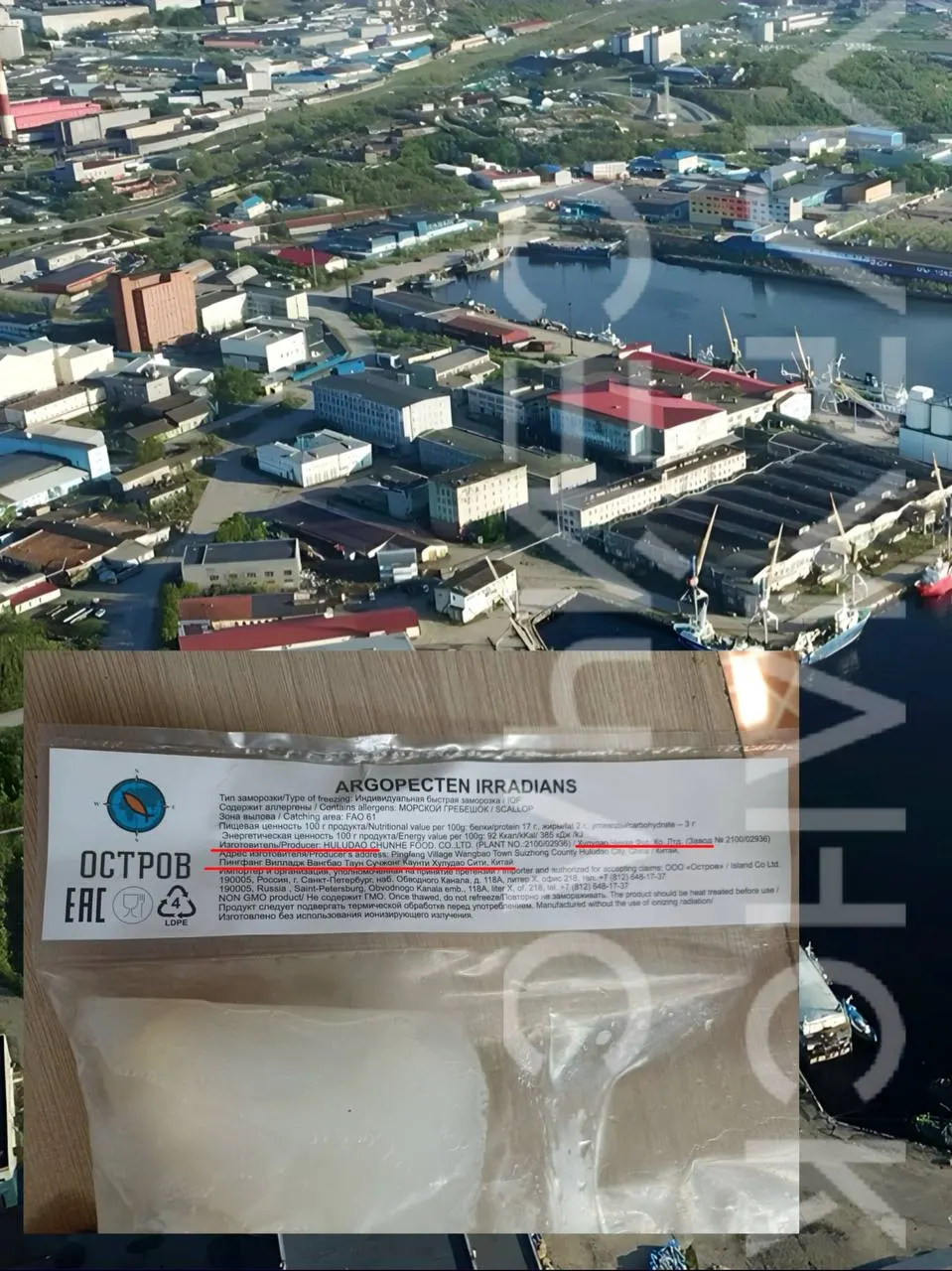 Покупатель обнаружил, что купленные в рыбном магазине морские гребешки имеют маркировку китайского происхождения — это вызывает вопросы о поставках и ценообразовании в регионе.