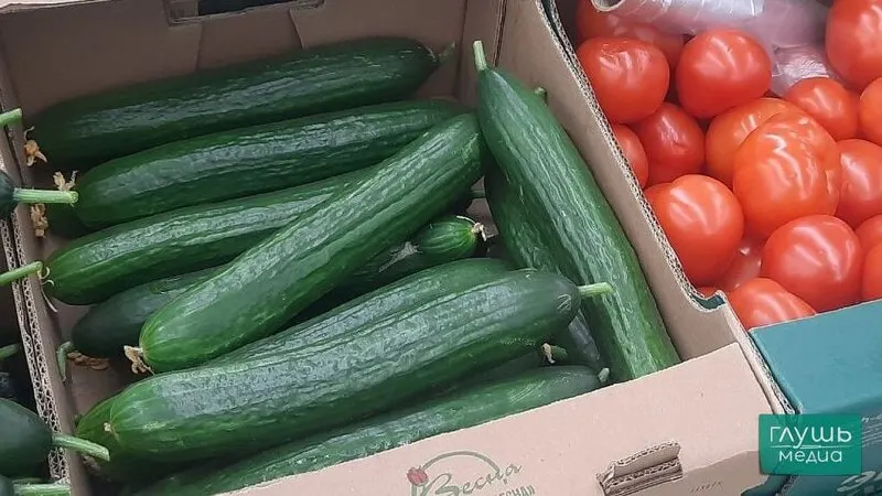 Согласно данным Саратовстата, за неделю огурцы выросли в цене на 6,68%. Также подорожали картофель, морковь, свёкла и лук; снизились цены на печенье и яйца.