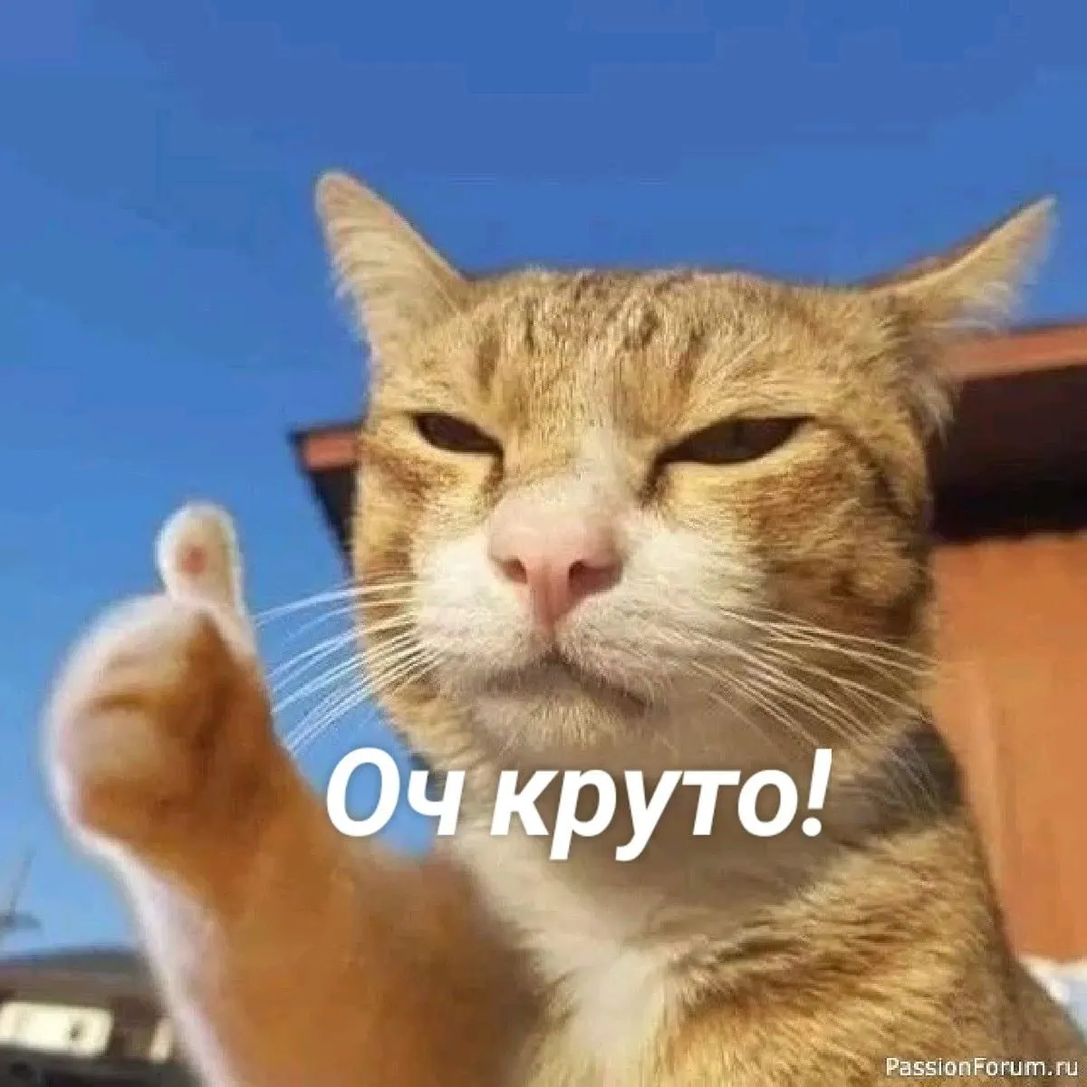 С 1 июля в регионе не будет традиционного летнего повышения цен на электричество: действующие тарифы сохраняются, при этом регион остаётся одним из лидеров по доступности электроэнергии.