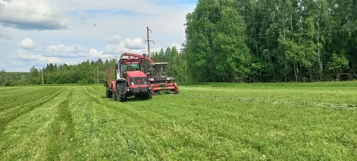 В рыбхозе «Пихтовка» вынуждены досрочно завершить заготовку силоса: резкий рост цен и дефицит топлива делают дальнейшую работу хозяйства критически убыточной.