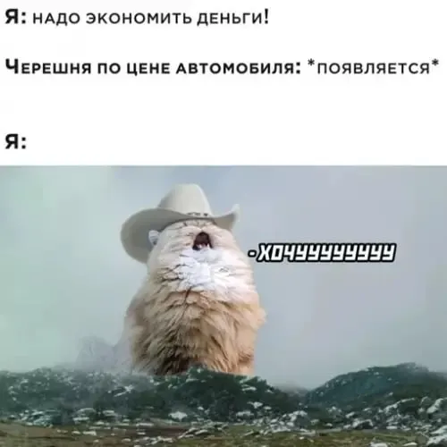 Рынки и магазины Челябинска предлагают черешню по цене от примерно 500 до 900 рублей за килограмм — стоимость зависит от сорта, качества и места продажи.