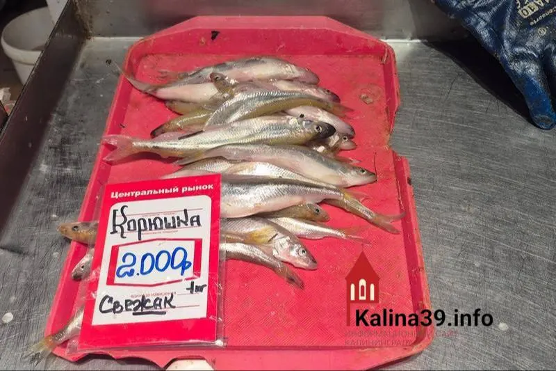 Жители жалуются, что рыба, яйца и молочная продукция местного производства в регионе порой стоят дороже, чем в столице, несмотря на более низкие зарплаты.
