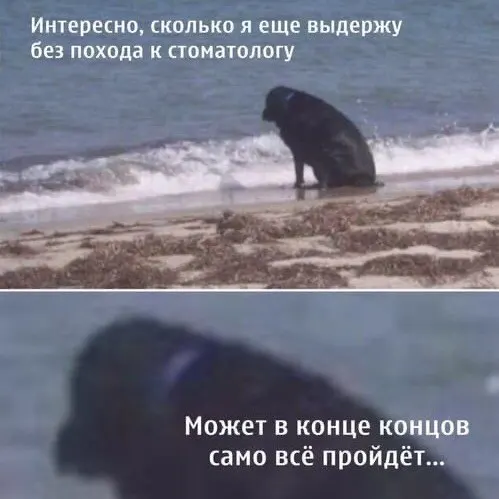 По итогам 2025 года средняя карельская семья после базовых расходов имеет около 29,1 тыс. руб. (двое детей) или 48,6 тыс. руб. (один ребёнок); за год стоимость медицинских услуг в регионе выросла на 17,7%.