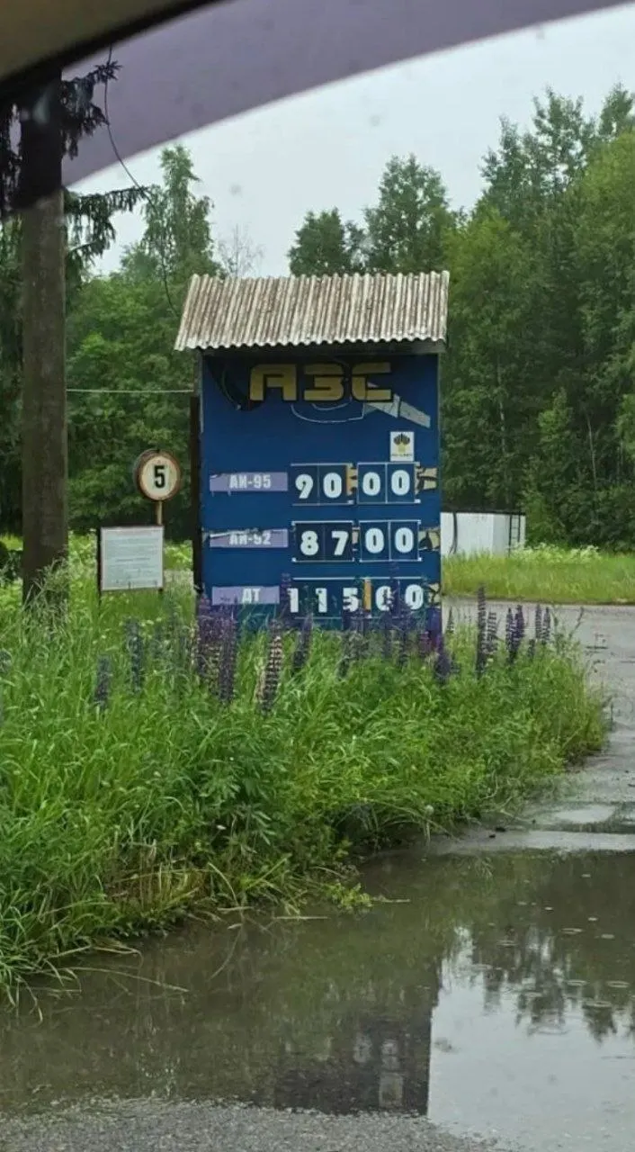Из‑за повышенного спроса в регионе на отдельных частных заправках зафиксировали заметный рост цен на бензин и дизтопливо, тогда как крупные сети пока не поднимают стоимость.