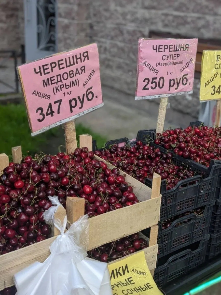 Черешня появилась на рынках в мае: цены варьировались от 280 до 1 300 рублей за килограмм. В среднем ягода стала дороже примерно на 20–22% за год — на стоимость повлияли ограничения импорта и погодные условия.