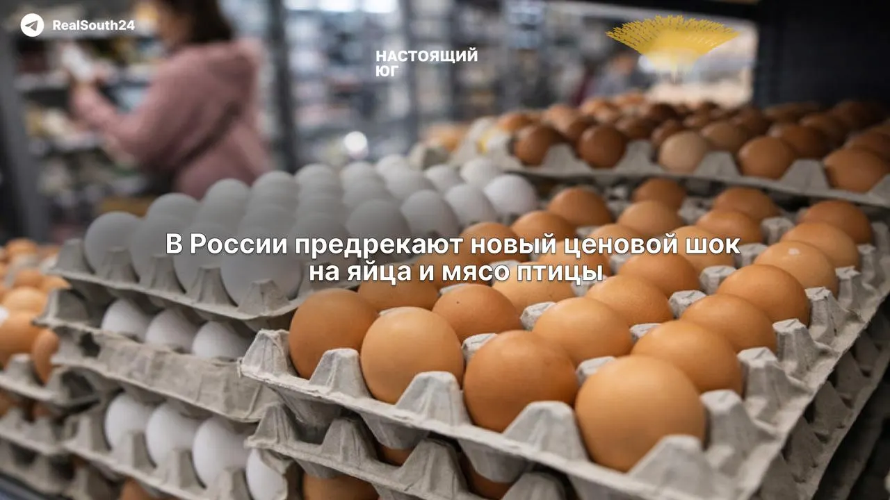 Рентабельность предприятий упала до 6–7% при требуемых 15%. Производители сокращают штат и готовятся перекладывать рост затрат на покупателей — подорожание кормов, логистики, топлива и кредиты могут привести к удорожанию не только курятины.