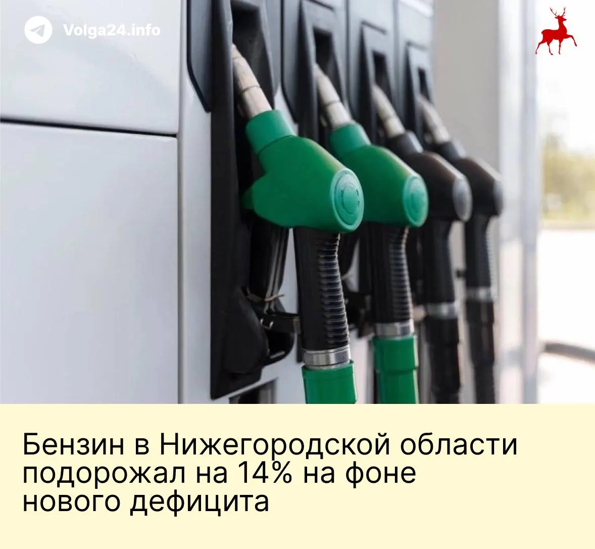 Дефицит топлива вызывает очереди на заправках; за полугодие бензин подорожал, а в августе рост цен усилился; в регионе снова необходимы волонтёры для регулирования движения на АЗС.