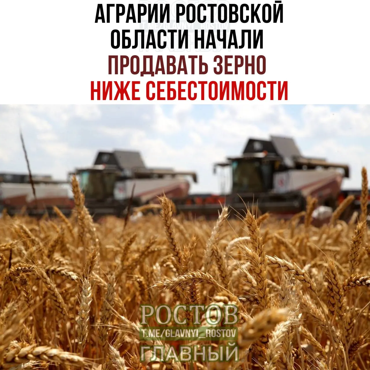 В регионе ожидается сбор около 13 млн тонн зерна; на рынке отмечается снижение цен на зерно, что влияет на аграриев и рынки.