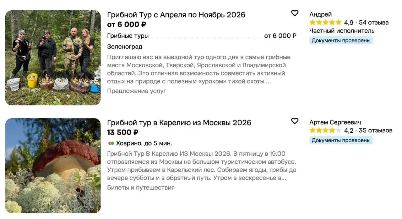Август стал заметным месяцем для грибных туров: спрос растет, особенно в Москве и области, средняя цена тура — 6100 ₽.