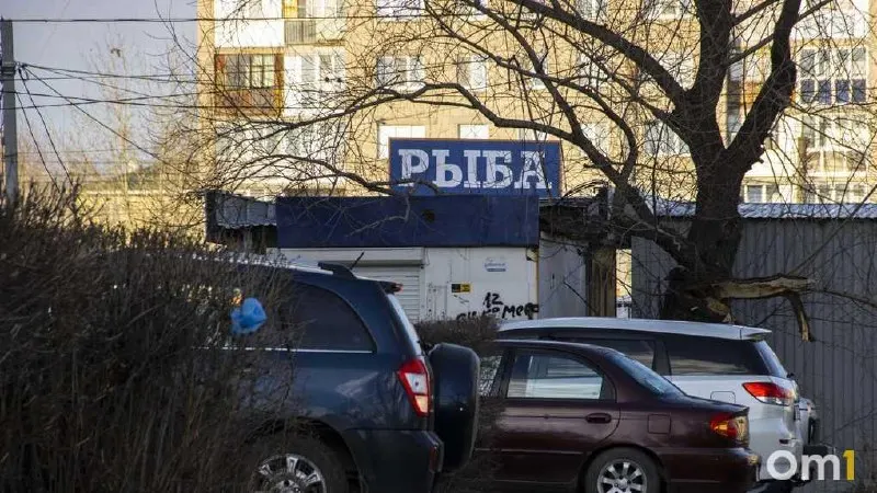 В июле путассу оказалась самой дешевой рыбой на рынке Омска, далее следуют сельдь, тюлька и килька. Мойва же дорожает и поступает в основном из-за рубежа.