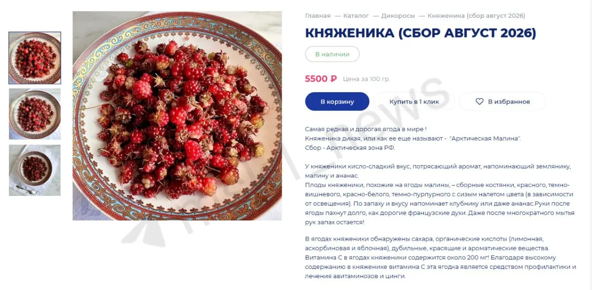 В Москве стартовали продажи редкой ягоды княженника: цена достигает 5500 ₽ за 100 г из‑за низкой урожайности и короткого срока хранения.