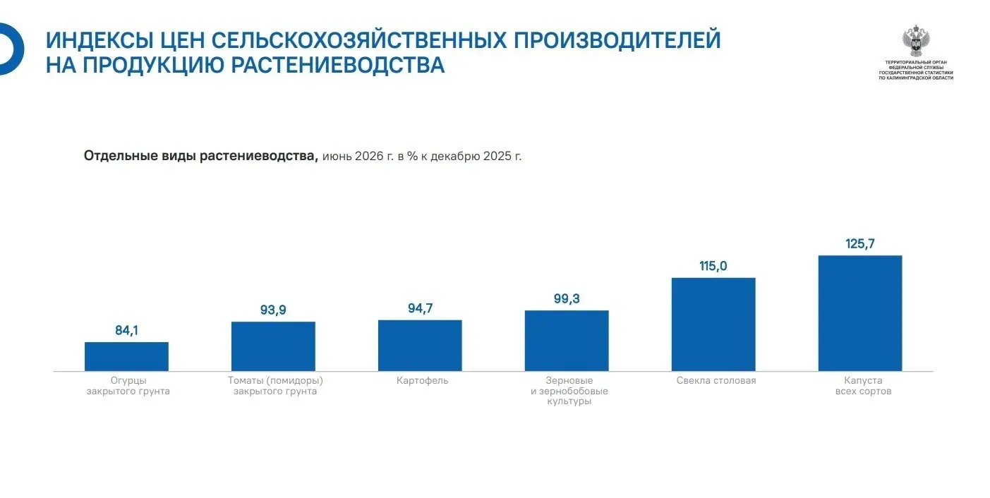 В регионе зафиксирован резкий рост цен на капусту; свекла выросла на 15% с начала года; часть культур подешевела, зерновые почти не изменились.
