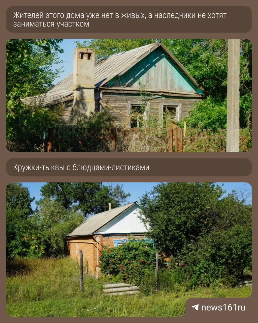Донской посёлок Малый Лог сталкивается с опустевшими домами, закрытой школой и падением цен на подсолнечник после неурожайного сезона.