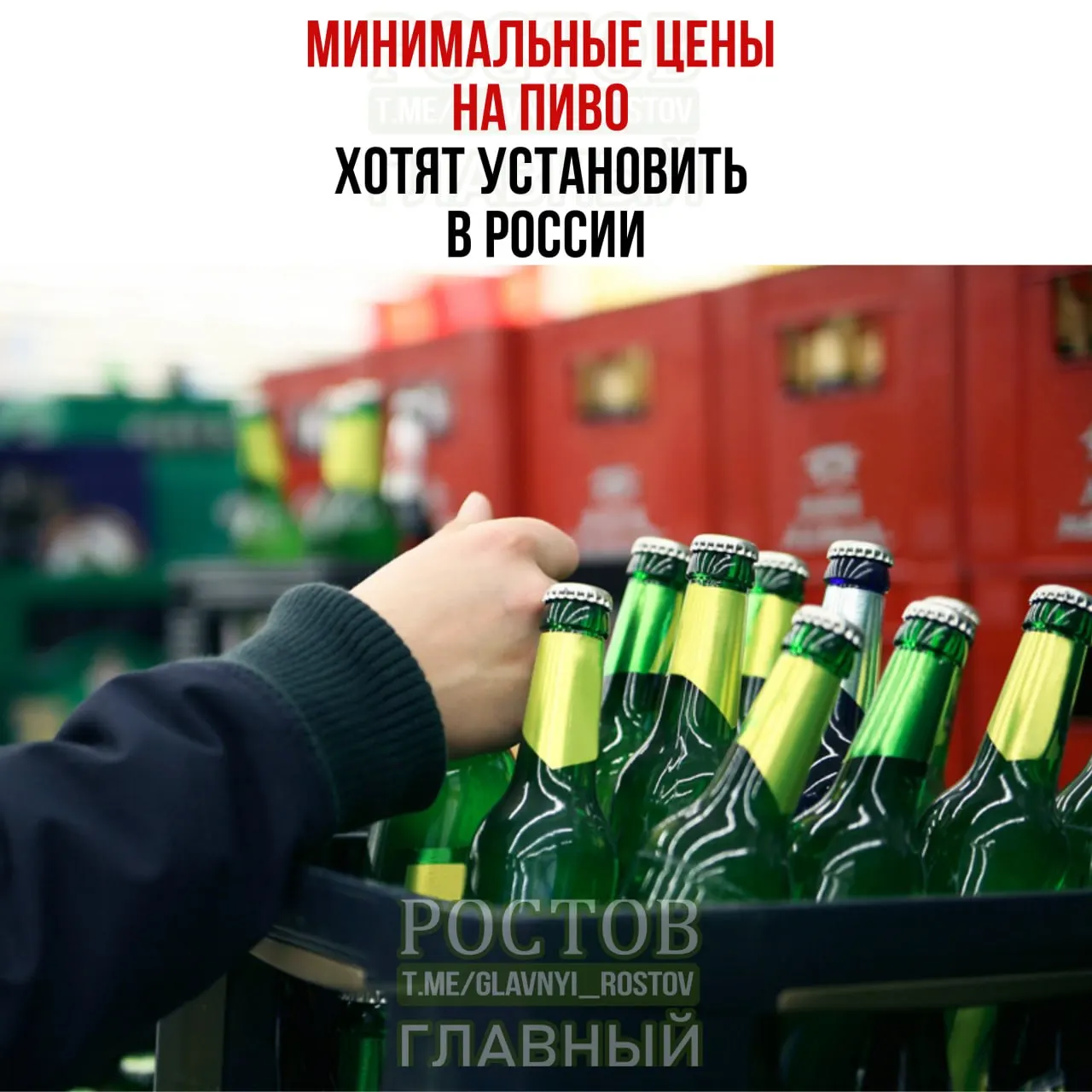 С января пиво может подорожать из-за повышения акцизов; производители обещают экономить на качестве, чтобы удержать цены.