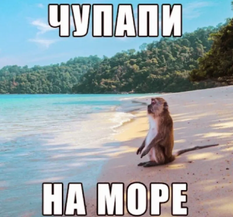 Новый маршрут Чита — Санья будет выполняться раз в неделю; стоимость билета — 29 350 рублей, время полета около 6 ч 45 мин. Также сохраняются рейсы в Пхукет по расписанию.