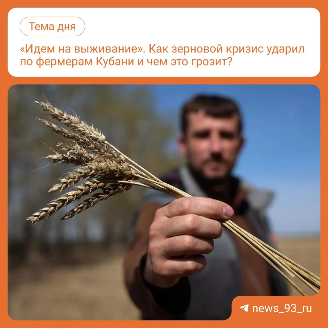 Из-за задержек экспорта зерно остаётся на складах, цены не покрывают себестоимость, что усугубляет положение аграриев.
