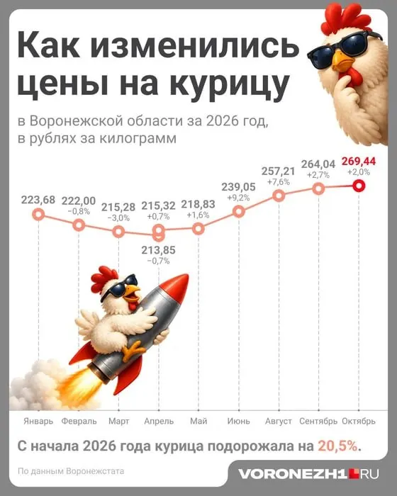 За год окорочка подорожали до примерно 200 ₽ за кг, филе — до 600 ₽ за кг, яйца — 90–155 ₽ за десяток.