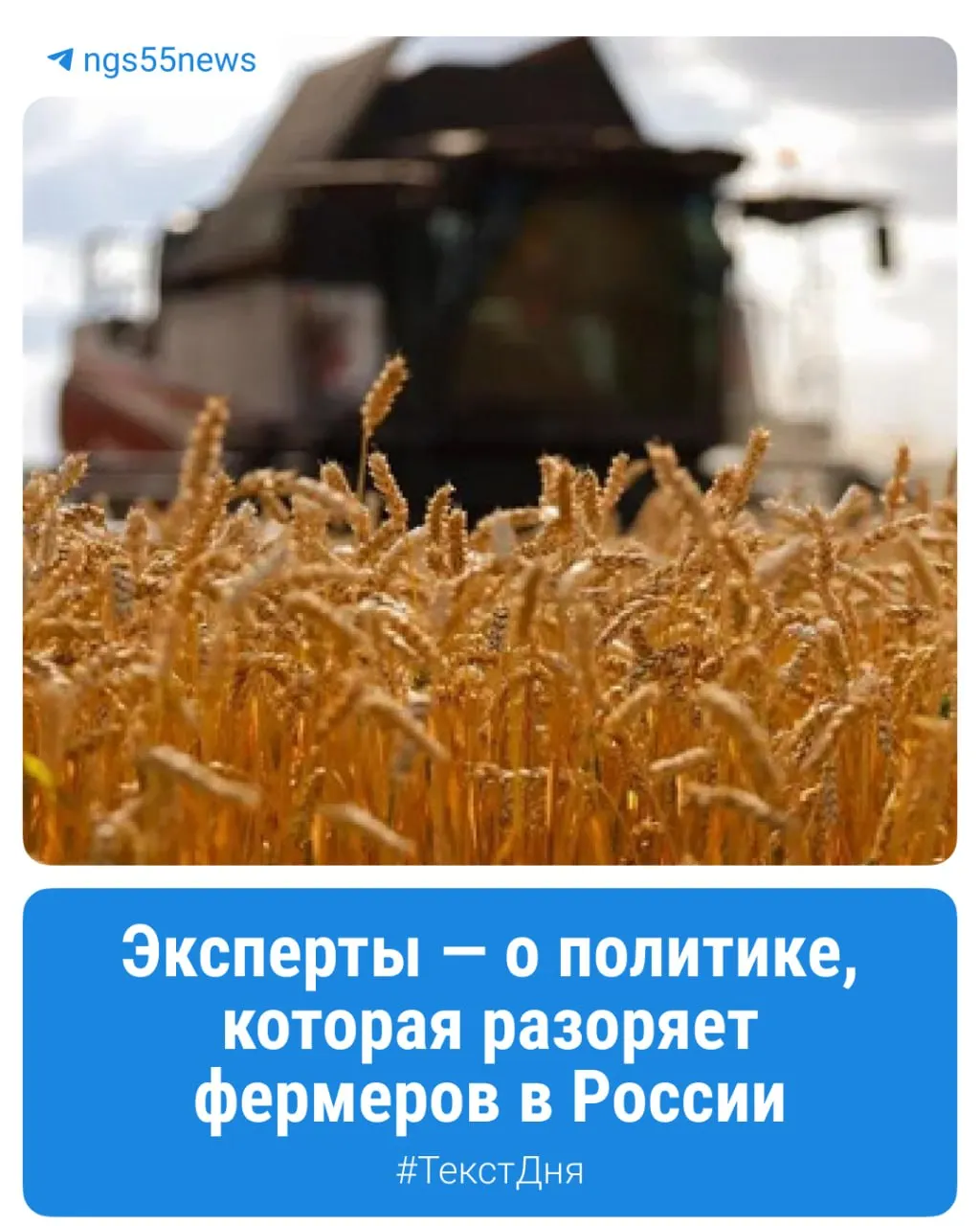 Снижение цен на зерно сопровождается ростом затрат на топливо, запчасти и налоги, что вынуждает хозяйства Омской области работать в долг и закрывать часть хозяйств.