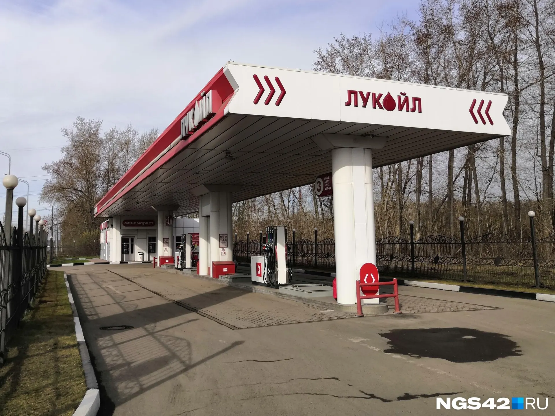 В регионе власти заявляют о снижении цен на заправках Лукойл, тогда как водители фиксируют рост на отдельных заправках Газпромнефти; данные официальной статистики будут сверены с практикой на местах.