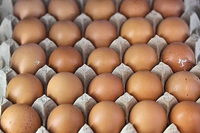 За период 6–12 октября наблюдался рост цен на яйца на 9% и на ряд продуктов: свеклу, помидоры и бананы, а также на мясо, сыр и макароны. Огурцы и яблоки подешевели.
